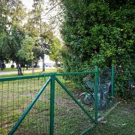 Apartment Gru Zadar